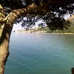 Jelas * Živogošće